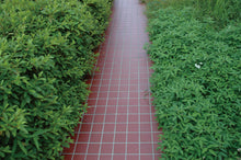 画像をギャラリービューアに読み込む, タイル 谷口製陶所 美濃焼タイル 岐阜県 多治見市 笠原町 東濃 送料無料 コンビニ決済 DIY リノベーション 本格施工 新築 外装床 100角 磁器質 耐凍害 キッチン面 ナチュラルスタイル カフェスタイル アメリカン レトロ 売れ筋 色のある暮らし 機能性 掃除が簡単 水に強い 部屋のアクセント 防水性 耐久性 耐火性 おすすめ 人気 ネット通販サイト オンラインショップ 売ってるところ 裏足あり カラータイル 耐久性 カントリータイル おしゃれタイル クラッシック ロングセラー商品 レンガ調