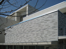 画像をギャラリービューアに読み込む, イル 谷口製陶所 美濃焼タイル 岐阜県 多治見市 笠原町 東濃 産地直送 メーカー 一枚から購入OK 送料無料 コンビニ決済 DIY リノベーション プロ仕様 新築 外装 寸法250×40 Ⅰ類 磁器質 BⅠ 無釉 外装壁 耐凍害 売れ筋 色のある暮らし 機能性 掃除が簡単 水に強い 防水性 耐久性 耐火性 おすすめ 人気 ネット通販サイト オンラインショップ 売ってるところ 耐熱 防水 耐久性 テッセラ 高級感 インテリア エクステリア 外構工事 門扉 洋風 和風 ロングセラー商品